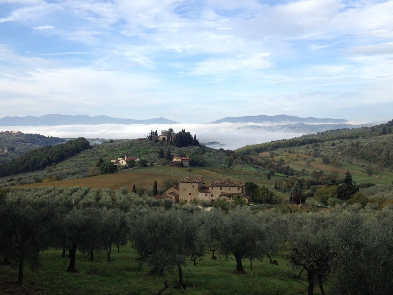 heros-img Idyllic view of Tuscany with olive groves, villas, and rolling hills under a bright sky.